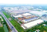 Bất chấp dịch bệnh, nhiều nhà đầu tư vẫn tiếp tục đổ vốn vào bất động sản công nghiệp và logistics.