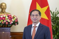 Bộ trưởng Ngoại giao Bùi Thanh Sơn (Ảnh: BNG)