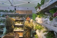 Bộ đội lựa chọn rau củ theo đơn đăt hàng của người dân TP.HCM (Ảnh: Lê Toàn).