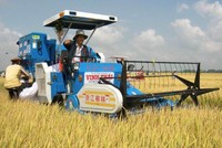 Việt Nam sẽ áp dụng thuế suất 0% cho 31 mặt hàng của Campuchia.