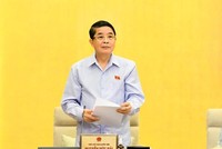 Phó chủ tịch Quốc hội Nguyễn Đức Hải điều hành phiên thảo luận.