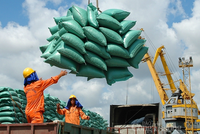 Việt Nam đã xuất khẩu 4 triệu tấn gạo trong 8 tháng, trong đó xuất sang Philippines và Trung Quốc đạt gần 2,3 triệu tấn.