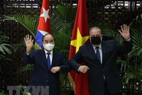 Chủ tịch nước Nguyễn Xuân Phúc hội kiến Thủ tướng Cuba Manuel Marrero Cruz. (Ảnh: Vietnamplus.vn)