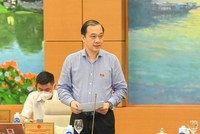 Chủ nhiệm Uỷ ban Kinh tế Vũ Hồng Thanh báo cáo kế hoạch giám sát.