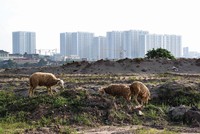 Nhiều dự án bị tắc thủ tục công nhận chủ đầu tư. Ảnh: Dũng Minh