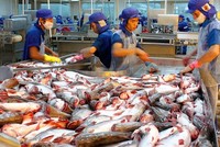 Cá tra có tỷ lệ sử dụng C/O EUR.1 cao nhất, chiếm 87% kim ngạch xuất khẩu cá tra sang EU27, trị giá 50,3 triệu USD.