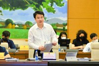 Thứ trưởng Bộ Kế hoạch và Đầu tư Trần Quốc Phương báo cáo tại phiên họp.