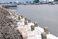 Công trình Kè bờ sông Cần Thơ- Ứng phó biến đổi khí hậu TP. Cần Thơ đang thi công