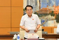 Trưởng ban Dân nguyện Dương Thanh Bình báo cáo tại phiên họp.