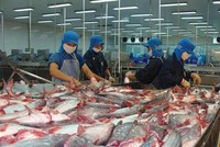 Thủy sản Vĩnh Hoàn (VHC): Doanh thu quý III/2021 tăng 17% nhờ thị trường Mỹ