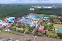 Ngành rượu bia đang chịu tác động mạnh bởi dịch bệnh Covid-19. Ảnh minh hoạ