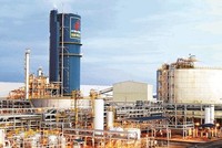 Đạm Phú Mỹ (DPM) tạm ứng cổ tức năm 2021, tỷ lệ 10%