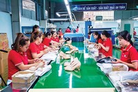 Ngành sản xuất da giày sẽ chịu tác động không nhỏ của Luật Bảo vệ môi trường 2020.