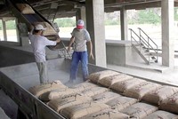 Dịch bệnh bùng phát khiến việc tiêu thụ xi măng tại thị trường nội địa giảm
