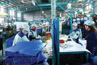 Bắt đầu “tiếp máu” cho doanh nghiệp