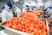 Đã có 150 doanh nghiệp đăng ký xuất khẩu thực phẩm sang Trung Quốc theo quy trình đăng ký nhanh với Bộ Công Thương.