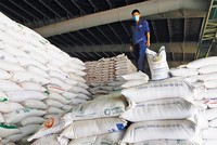 Gạo Việt đang được tiêu thụ khá nhiều tại Anh, song chủ yếu mang thương hiệu của nhà phân phối Ảnh: Đ.T