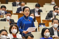 Đại biểu Nguyễn Thị Kim Thúy (Đà Nẵng) phát biểu tại hội trường.