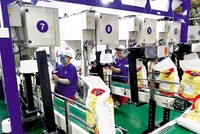 Đang đà tăng giá, Nông nghiệp công nghệ Trung An (TAR) có thêm cổ đông mua hơn 1 triệu cổ phiếu