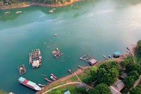 Có một Hòa Bình gây thương nhớ