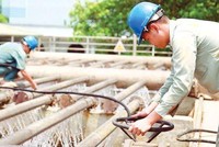 Hà Nội: Không cấp phép đầu tư xây dựng nhà máy khai thác nước ngầm mới