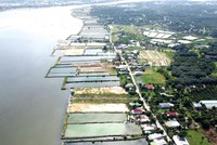 Cam Lâm đang âm ỉ sốt. Ảnh: Lê Toàn