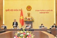 Phó chủ tịch Quốc hội Trần Thanh Mẫn điều hành phiên thảo luận.