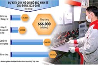 Đồ họa: Đan Nguyễn