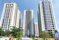 Công trình Khu căn hộ Thái Bình Plaza sau nhiều năm “đắp chiếu” đã bắt đầu nhộn nhịp thi công trở lại. Ảnh: Lê Toàn