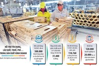 Vấn đề đặt ra hiện nay là làm thế nào để bắt kịp nhịp xu thế mới, bởi nhiều doanh nghiệp Việt Nam dù đã được hỗ trợ, nhưng vẫn khá vất vả tìm cửa phục hồi. Đồ họa: Đan Nguyễn