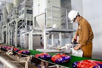 Vinachem sắp bán nốt lượng cổ phần đang nắm tại Hoá chất Đức Giang (DGC)