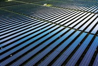 Phục hồi bền vững với tài chính xanh