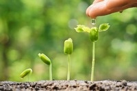 Tổng kết Giải thưởng Báo cáo Phát triển bền vững 2022