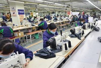 Các nhà máy của TNG luôn chạy tối đa công suất trong mùa dịch Covid-19