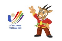 Bổ sung hơn 300 tỷ đồng kinh phí chuẩn bị tổ chức SEA Games 31