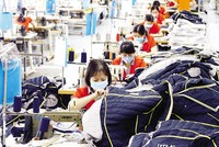 Doanh nghiệp đang rất cần được hỗ trợ bằng nhiều giải pháp mạnh mẽ để hiện thực hóa các kế hoạch kinh doanh. Ảnh: Đ.T