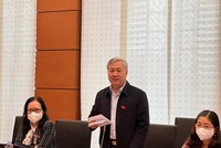 Đại biểu Trần Văn Lâm phát biểu tại phiên thảo luận.