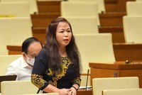 Đại biểu Vũ Thị Lưu Mai (Hà Nội).