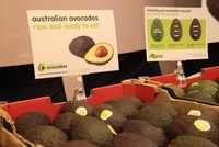 Bơ đông lạnh của Việt Nam được xuất khẩu đi Australia, có giá bán 120.000 đồng/kg