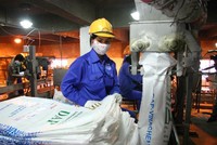 Quý IV kém khả quan, loạt doanh nghiệp phân bón vẫn báo lãi lớn năm 2021