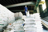 Xuất khẩu gạo của Việt Nam đã có 1 năm thành công và nhiều khả năng duy trì thứ hạng tốt trong năm 2022. Ảnh: Đức Thanh