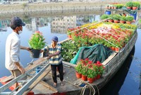 Chợ hoa xuân "trên bến dưới thuyền" nhộn nhịp trước ngày khai hội