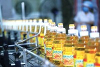 Vocarimex tiếp tục báo lỗ