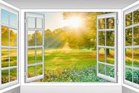 Nở rộ xu hướng đầu tư đất vườn, đất rẫy