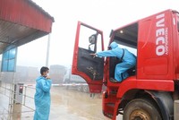 Khi hàng hóa về đến khu vực Cửa khẩu quốc tế Cầu Treo, Lao Bảo theo quy định thì tất cả phải hạ tải và đổi lái xe. Tuy nhiên các cơ quan chức năng như Hải quan, Biên phòng đã tạo điều kiện thuận lợi tốt nhất cho doanh nghiệp nên việc thông quan, đổi lái xe cũng không mất thời gian.