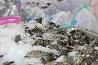 Sao Ta, Vĩnh Hoàn tăng trưởng lạc quan, ngành thủy sản "sáng cửa" năm 2022