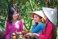 Miền Tây sẽ không chỉ là vựa trái cây, vựa thủy sản…