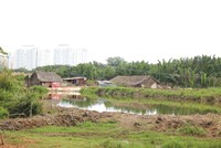 Đất nông nghiệp Bình Chánh tăng bất thường kể khi được quy hoạch thành quận. Ảnh: Trọng Tín 