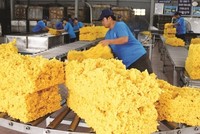 Doanh thu tài chính của Cao su Phước Hòa đạt 236,58 tỷ đồng, tăng 25,9% so với năm 2020.