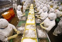 Người lao động làm thêm giờ - câu hỏi day dứt